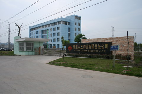 福建六三种业有限责任公司