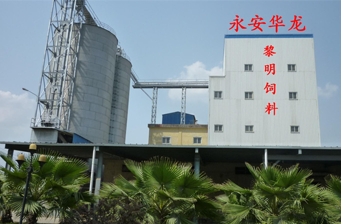 福建省华龙集团